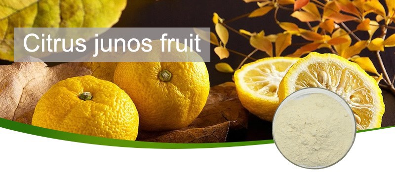 Citrus junos fruit-3 Citrus junos fruit-3