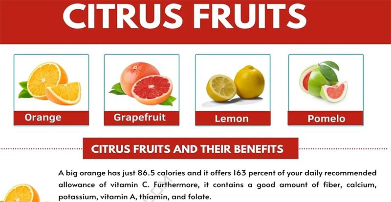 Citrus junos fruit-4 Citrus junos fruit-4