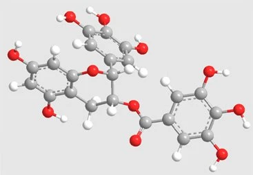 green tea extract 16