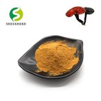 Reishi paddestoelextract poeder