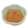 Milk Thistle Extract