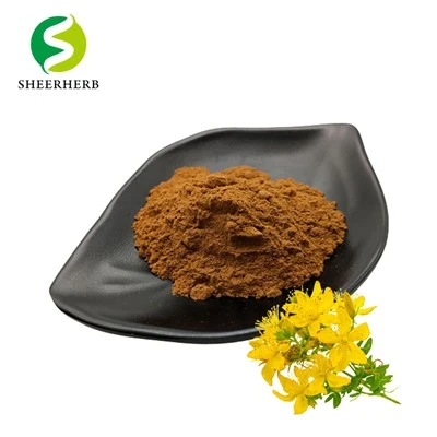 Hypericum perforatum